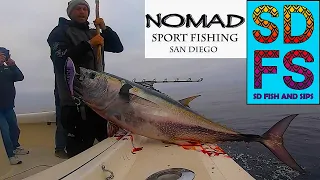 Bluefin Tuna Fishing San Clemente Island | Nomad Madmacs, Spreader Bars, California Flyer October 22