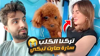 ليش تركنا الكلب؟ سارة صارت تبكي 😭😭