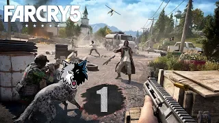 Far Cry 5 - ТОП 5 ЗАХВАТОВ АВАНПОСТОВ В СТЕЛСЕ #1 (4K/60fps)