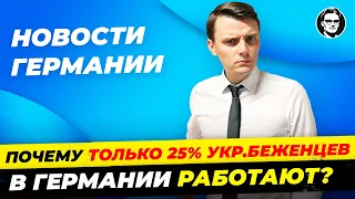 Беженцы не работают, Скандал AfD на Берлинале, Отмена полётов, Польша готовится к нападению Миша Бур