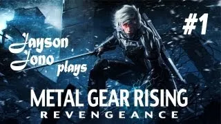 Metal Gear Rising: Revengeance Gameplay Walkthrough - Part 1 - Metal Gear Ray Boss Fight