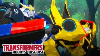 The Chase is on! | Robots in Disguise | Compilation | Animation | Transformers Official