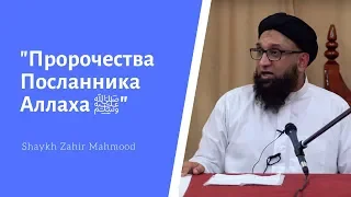 "Пророчества Посланника Аллаха ﷺ". Шейх Захир Махмуд