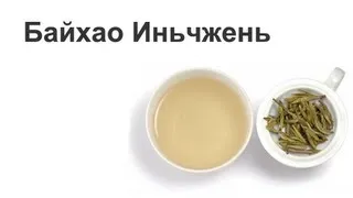 Как заваривать белый чай Байхао Иньчжень