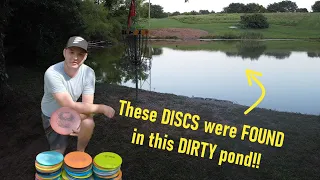 DIVING for DISCS after a major disc golf TOURNAMENT | | 50+ DISCS FOUND !!