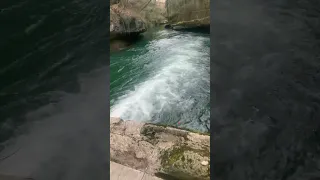 On ´ est pas bien à la pêche à la truite