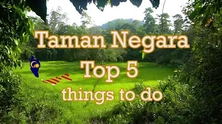 Taman Negara: top 5 things to do MALAYSIA