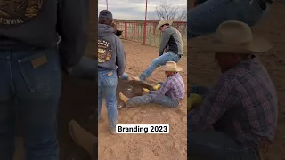 Cattle Branding 2023