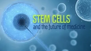 Stem Cells and the Future of Medicine - Research on Aging