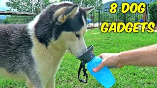 8 Dog Gadgets put to the Test