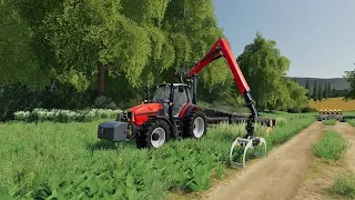 FS19 - Map Italia Light 013 - Forestry and Farming