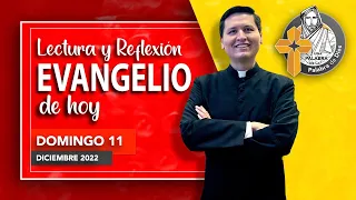 REFLEXION del EVANGELIO de HOY DOMINGO 11 de Diciembre, Semana III de Adviento. EVANGELIO. Comunión.