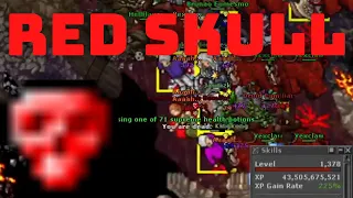 ED LVL 1378 ESQUECEU DE SE CURAR, DEU MAGIA EM ÁREA E FICOU AFK UM TEMPO DPS "RED SKULL", #GWTIBIA