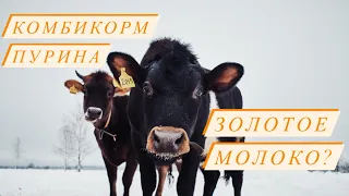 Стоимость молока Джерси!Выгодно или нет кормить Пуриной?