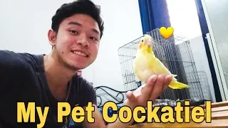 Unboxing My First Pet Bird | Baby Cockatiels