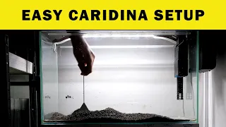 EASY  Caridina shrimp tank setup - in 8 minutes :)