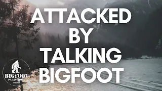 Talking BIGFOOT Attacks Couple At Campsite | Over 1 Hour SASQUATCH ENCOUNTERS PODCAST