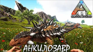 ПРИРУЧЕНИЕ ЭКВУСА И АНКИЛОЗАВРА | RAGNAROK | ARK SURVIVAL EVOLVED ► Прохождение 4 Серия