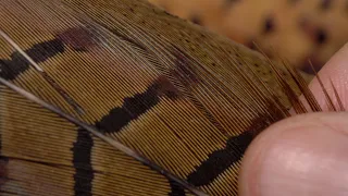 Magic Tying Materials - Pheasant Tail