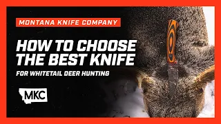 How to Choose the Best Knife for Whitetail Deer Hunting