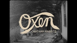 "Oxen" Lyric Video