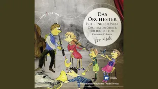 The Young Person's Guide to the Orchestra, Op. 34: Variation H. Doublebasses