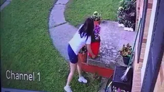 Wyoming porch plant thieves caught on camera