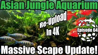 600 Gallon Asian Jungle Aquarium Massive Aquascape Update! Re-Upload in 4K