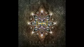 SiebZehN - Starship Signals [Full Album]