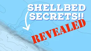The PROS Don’t Want You To Know This About SHELLBEDS!!  How To Find Those Magical Spots!