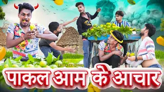 पाकल आम के अचार // Pakal Aam Ke Achar // Krishna Zaik comedy video