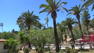 Santa Catalina Island. California. Part 15. Остров Санта-Каталина. Калифорния. Часть 15.