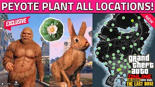 All Peyote Plant Locations in GTA 5 Online 2023! (How To Turn Into Animal/Bird/Bigfoot Peyote Plant)