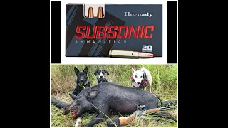Hornandy Sub X 3030 in Field Review.-Tested on wild Boar
