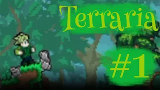 ТЕРРАРИЯ | Terraria | #1