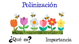 🌷 ¿Qué es la Polinización? 🐝 Tipos e importancia, Polinizadores  [Fácil y Rápido] | BIOLOGÍA |