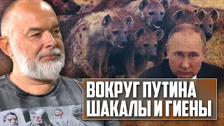 ⚡️ШЕЙТЕЛЬМАН: в путина новая ПАРАНОЯ: вокруг него остались только ШАКАЛЫ и ГИЕНЫ