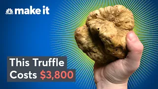 Why White Truffles Cost Up To $75K Per Pound