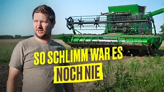 Horror Ernte 2023: NUR Verlust durch Dürre und Starkregen (Farm Vlog) I Hundert Hektar Heimat