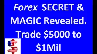 Revealed - Learn the secret and magic of trading $5000 to $1Mil. Buy the EA. Link your Forex Account