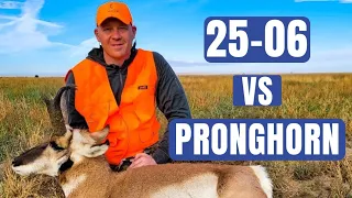 25-06 Remington vs Pronghorn