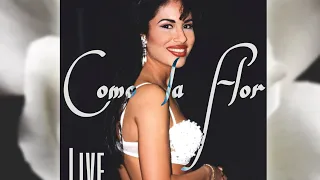 Como La Flor - Selena ( Live instrumental from Astrodome )