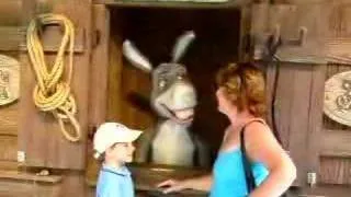 When We Met Donkey from Shrek