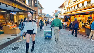 4K KYOTO JAPAN - Bike Ride in Kyomizudera & Gion Street | 京都 2021