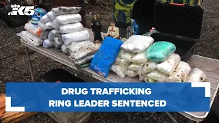 Drug trafficking ring leader sentenced