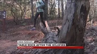 Some trails still closed after Pinnacle Mountain wildfire