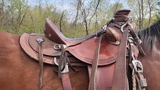 Trying a Beautiful Wade Saddle on My Horse!