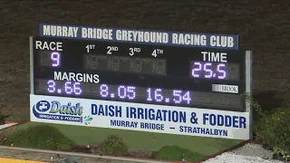 Murray-Bridge-07062021-Race-9