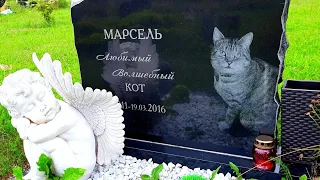 Кладбище Домашних Животных В Москве