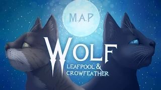 Wolf - Leafpool & Crowfeather [Complete Warrior Cats M.A.P]